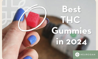 Best THC Gummies on the Market in 2024