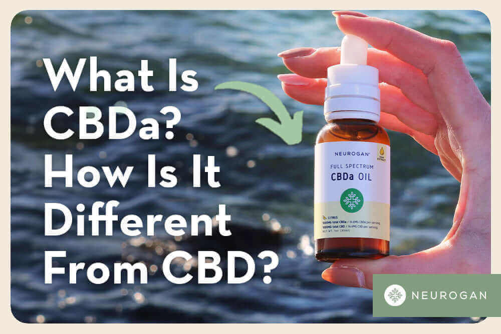 Bottle of CBDa oil laying on a rock near an ocean shore