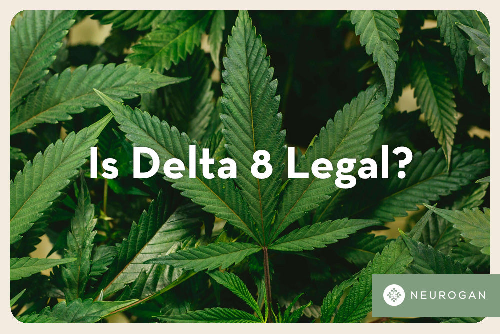 Is Delta 8 Legal?