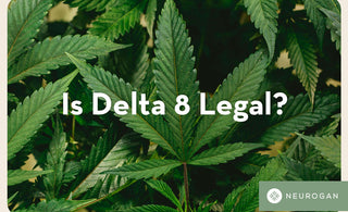 Is Delta 8 Legal?