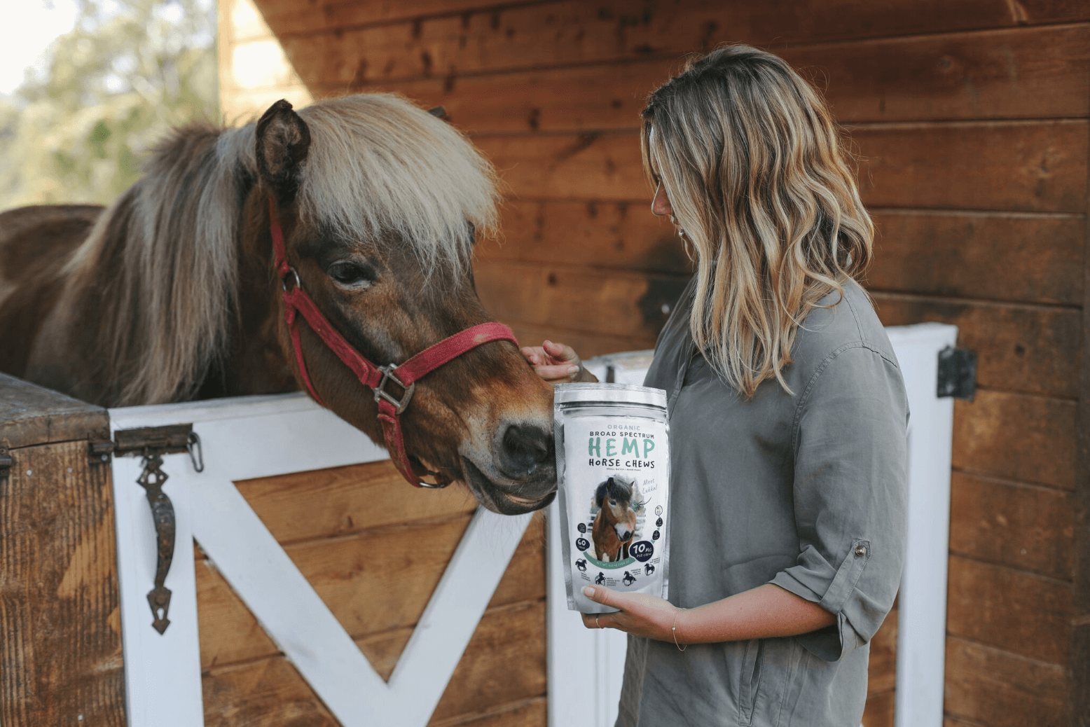 How To Give CBD To Your Horse