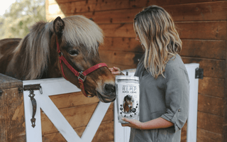 How To Give CBD To Your Horse