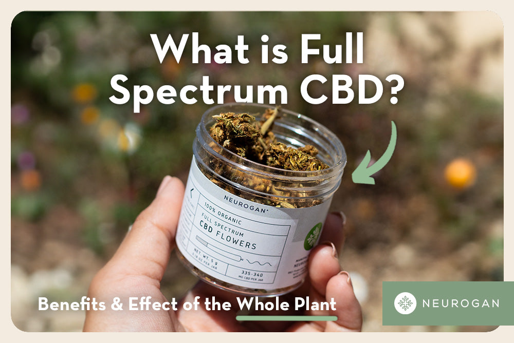 What is full spectrum CBD? Hand holding a jar of Neurogan full spectrum CBD flower outdoors
