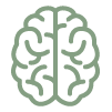 Brain Support