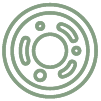 Cellular Repair