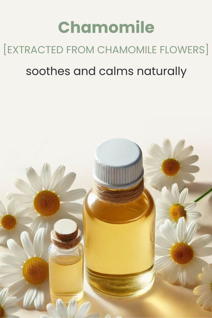 Chamomile