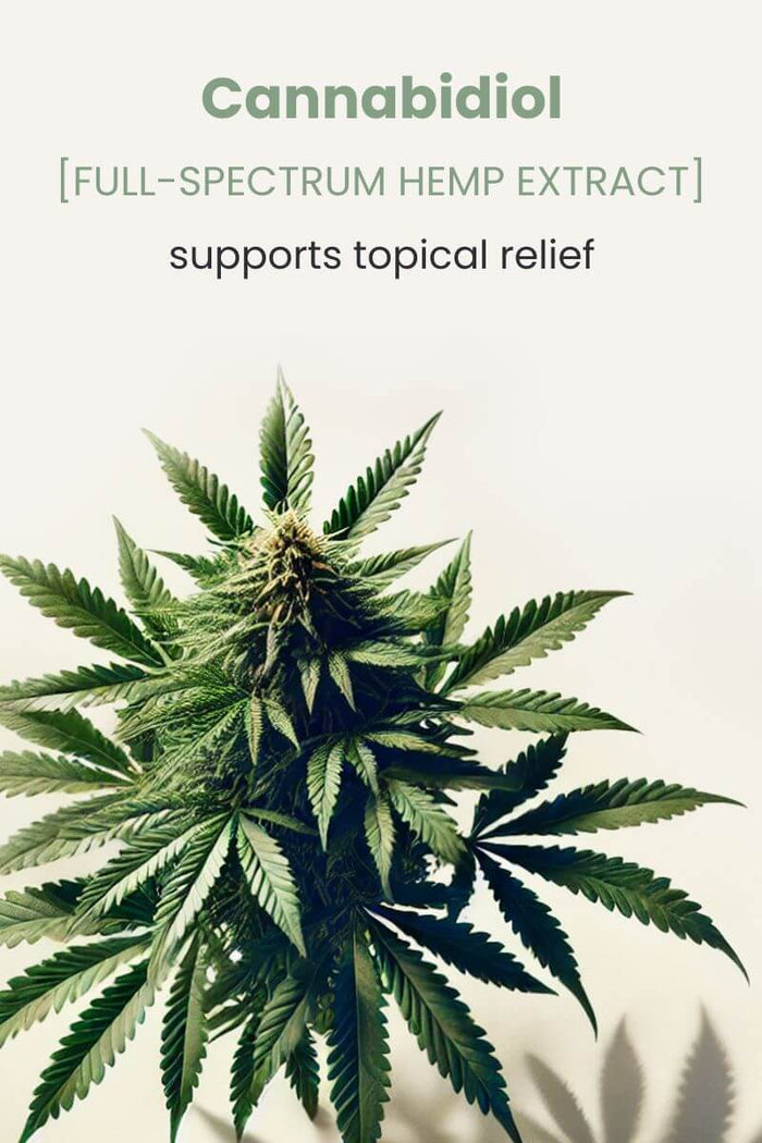 Cannabidiol Topical