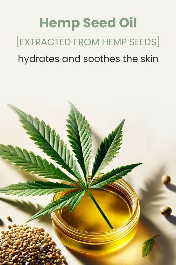 Hemp Seed Oil Topical