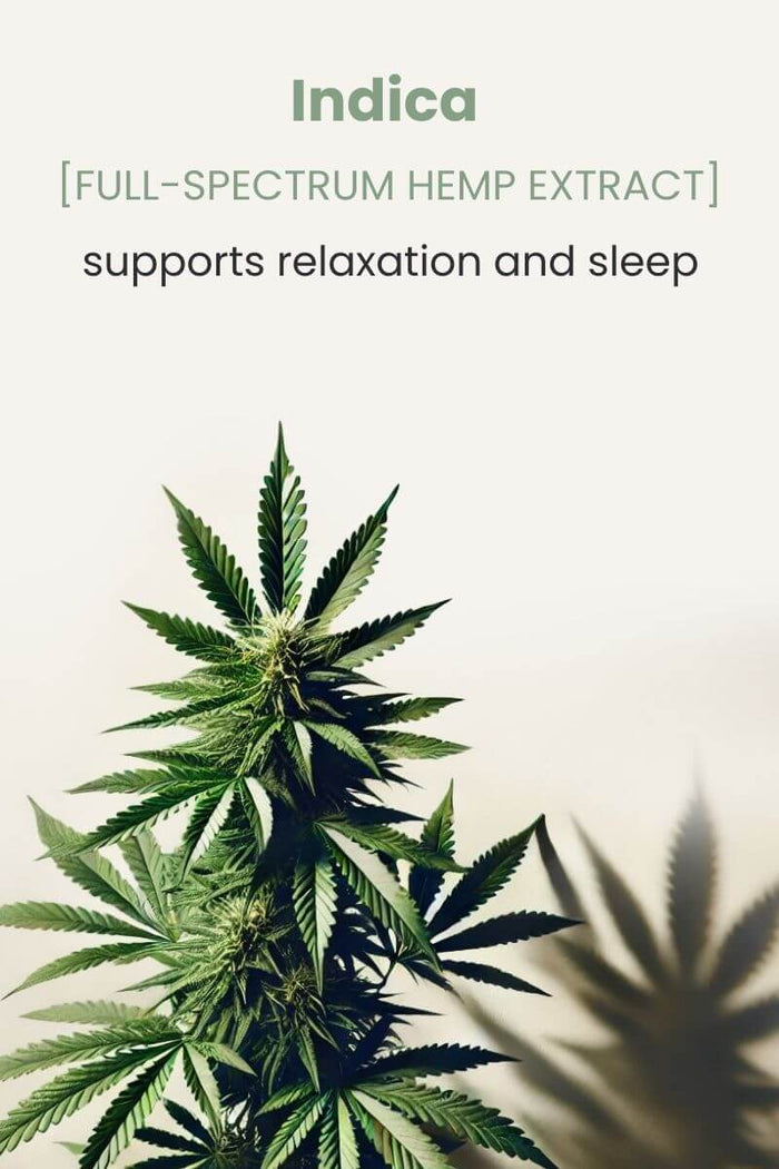 Indica