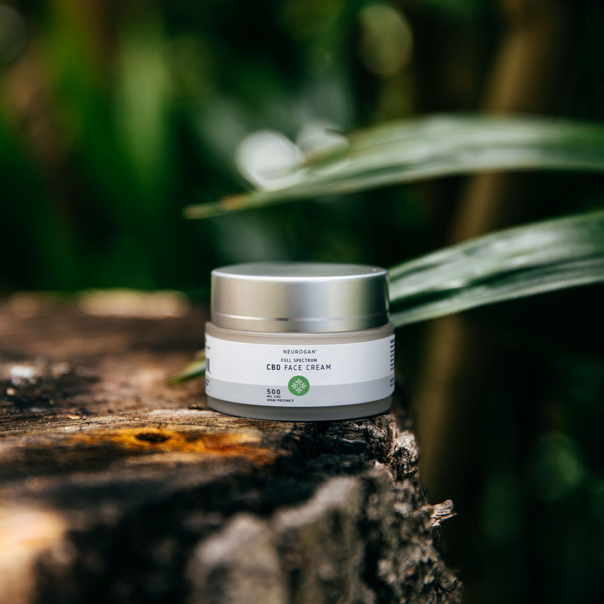 CBD Face Cream Best Prices & Full Spectrum Moisturizer