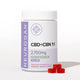 CBD + CBN Gummies Thumbnail 1