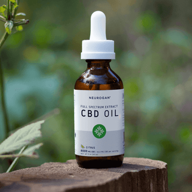 CBD Oil on a flat wood beside close to a plant with fresh leaves