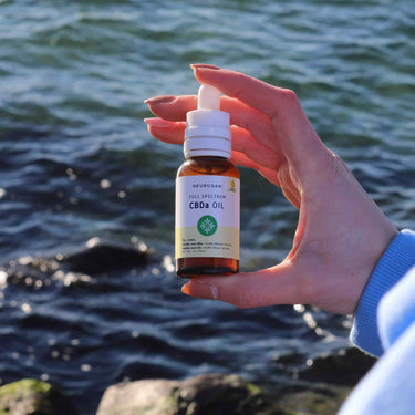 handheld CBDa oil with the rocky ocean shore on the background