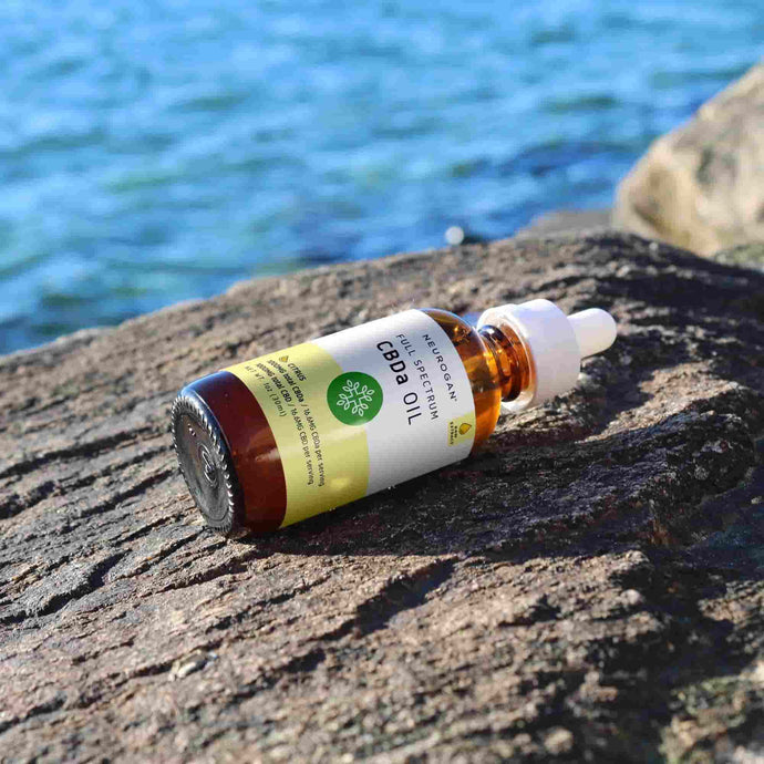 a bottle of CBDa oil sitting on a rock by the ocean