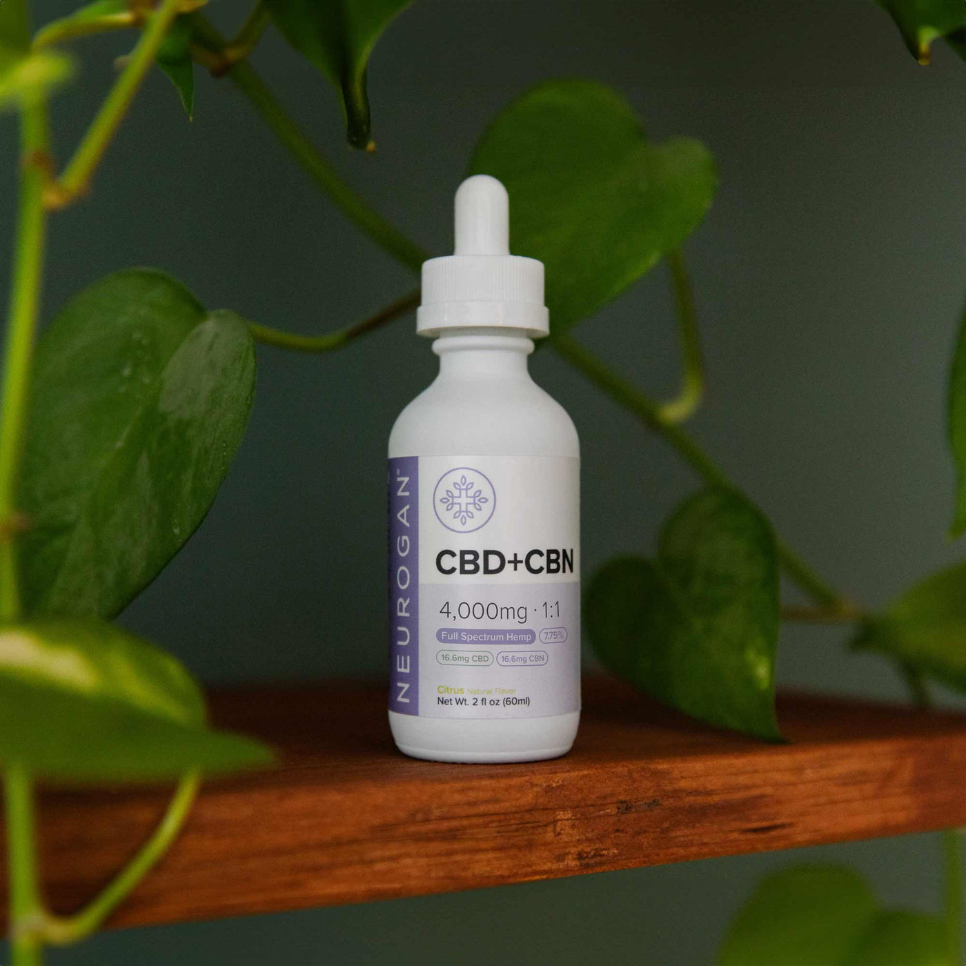 1:1 CBD to CBN Tincture