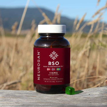A bottle of RSO gummies on a rock with a wheatfield scenery