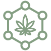 Terpene Rich
