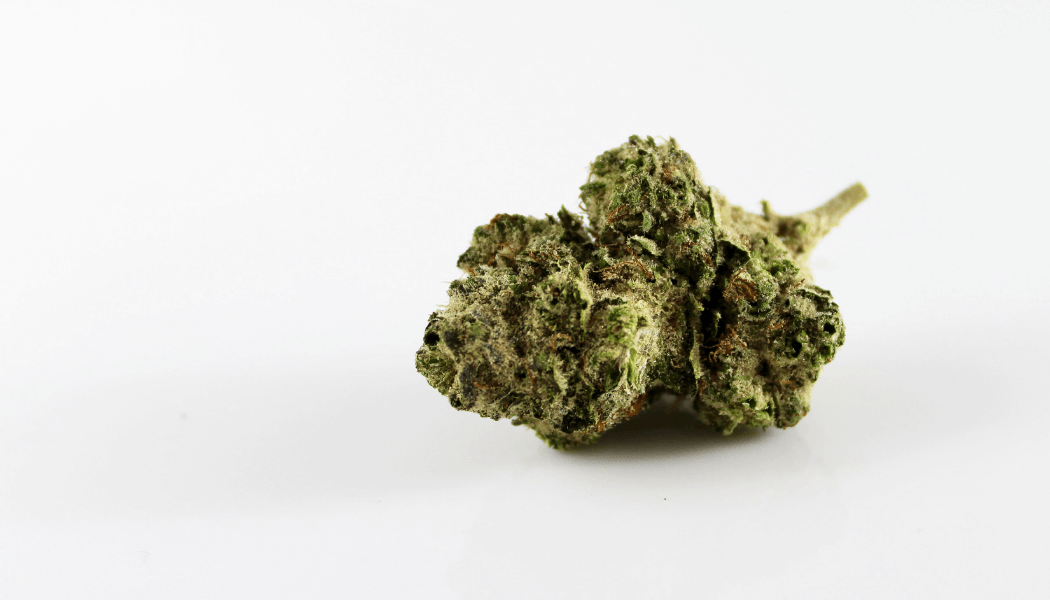 hemp flower