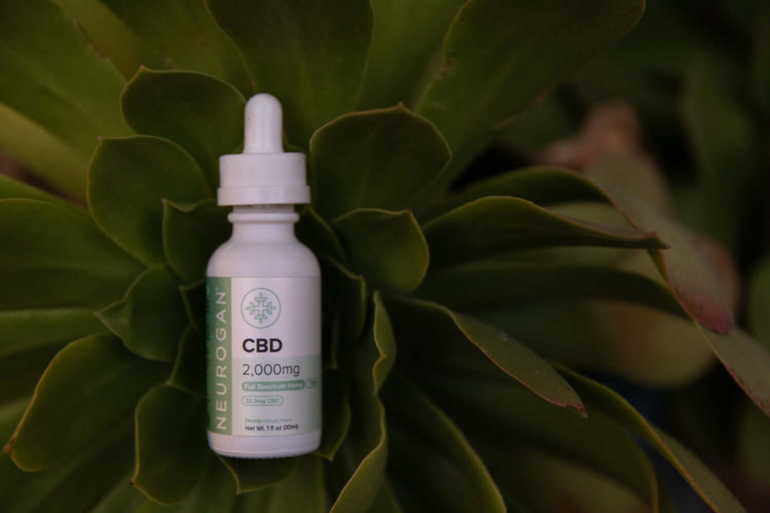 Neurogan Full Spectrum 2000MG CBD Oil