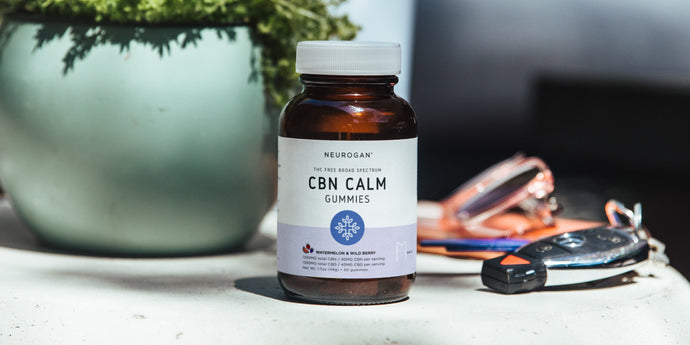 CBN calm gummies bottle on a table with succulent plant and car keys
