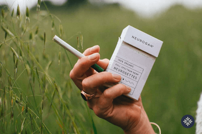 alive and kicking cbd cigarettes Smokable CBD – Neurogan alive and kicking cbd cigarettes Smokable CBD – Neurogan
