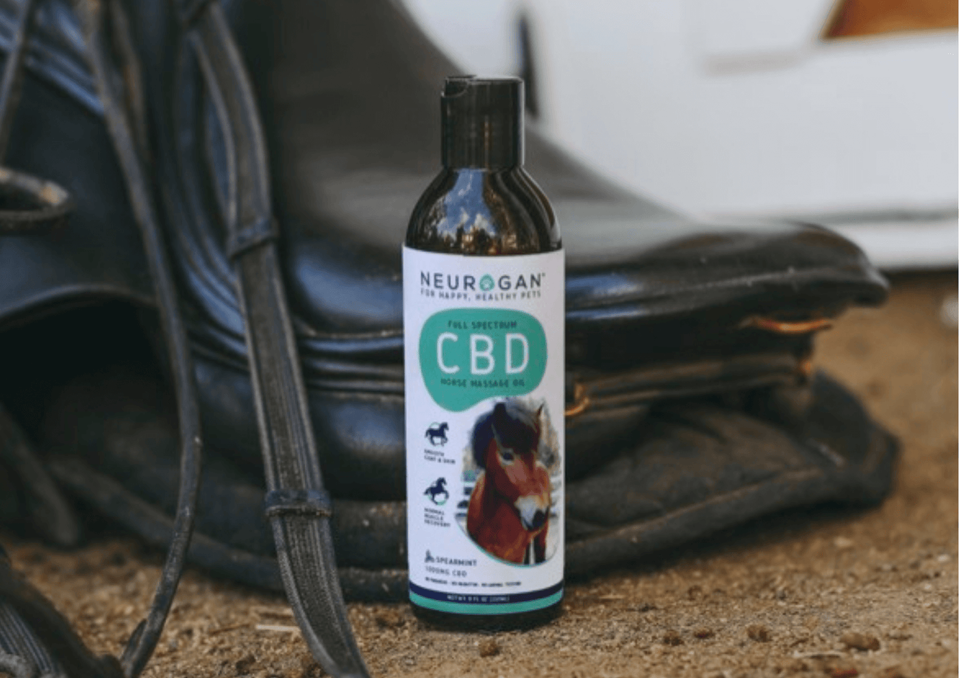 Why CBD Oil For Horses Works