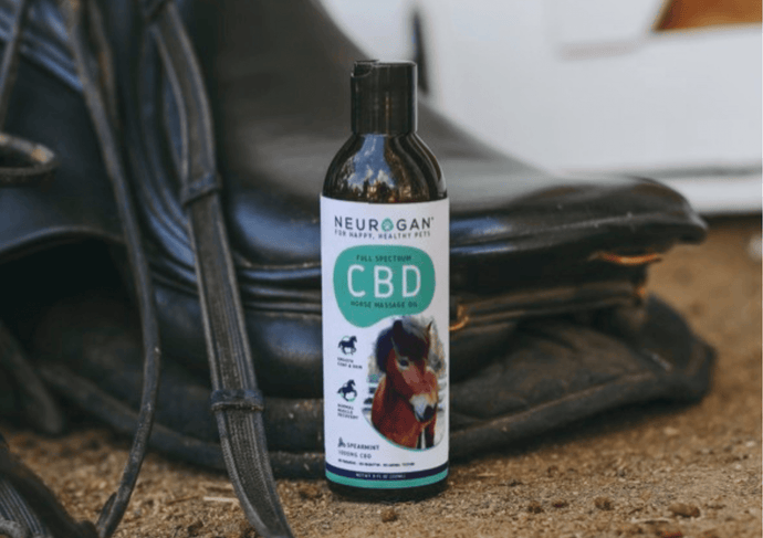 Neurogan CBD Horse Oil bottle on the ground in a stable