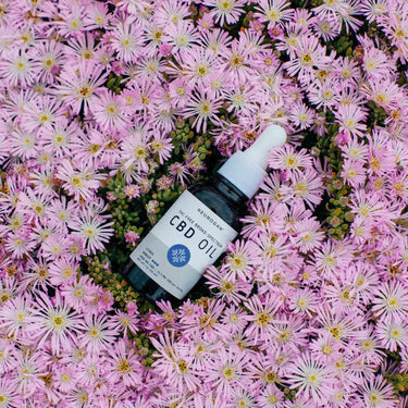 CBD Oil bottle laying on a field of pink flowers