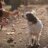 A lady administering CBD drops to her white dog