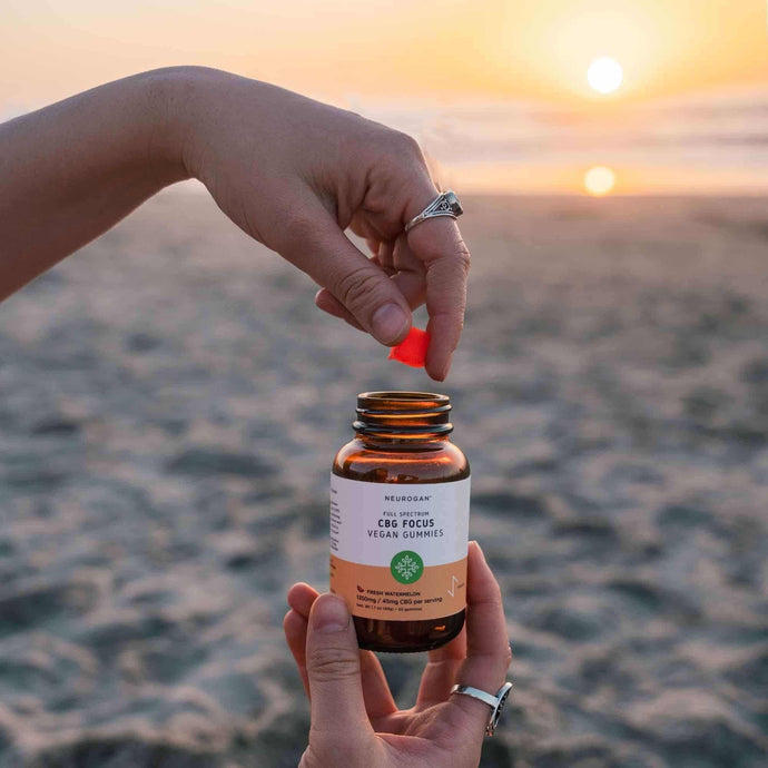 hand holding a red gummy square from the bottle of CBG Focus Gummies on a beach