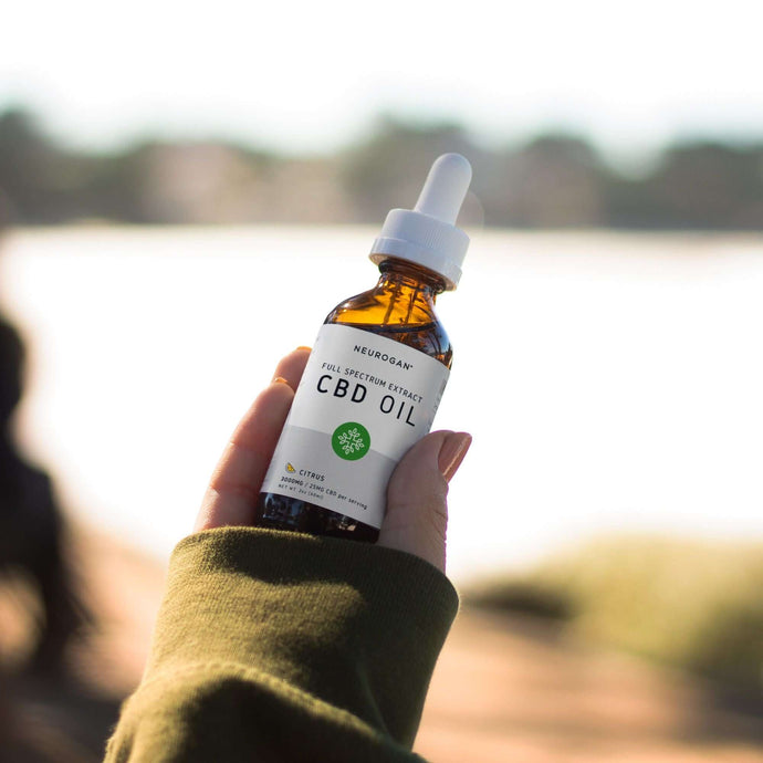 Hand holding Full Spectrum CBD Oil in scenic natural surroundings