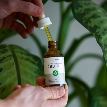 close-up of a hand holding a bottle of CBD oil and a cbd-filled dropper in front of a plant