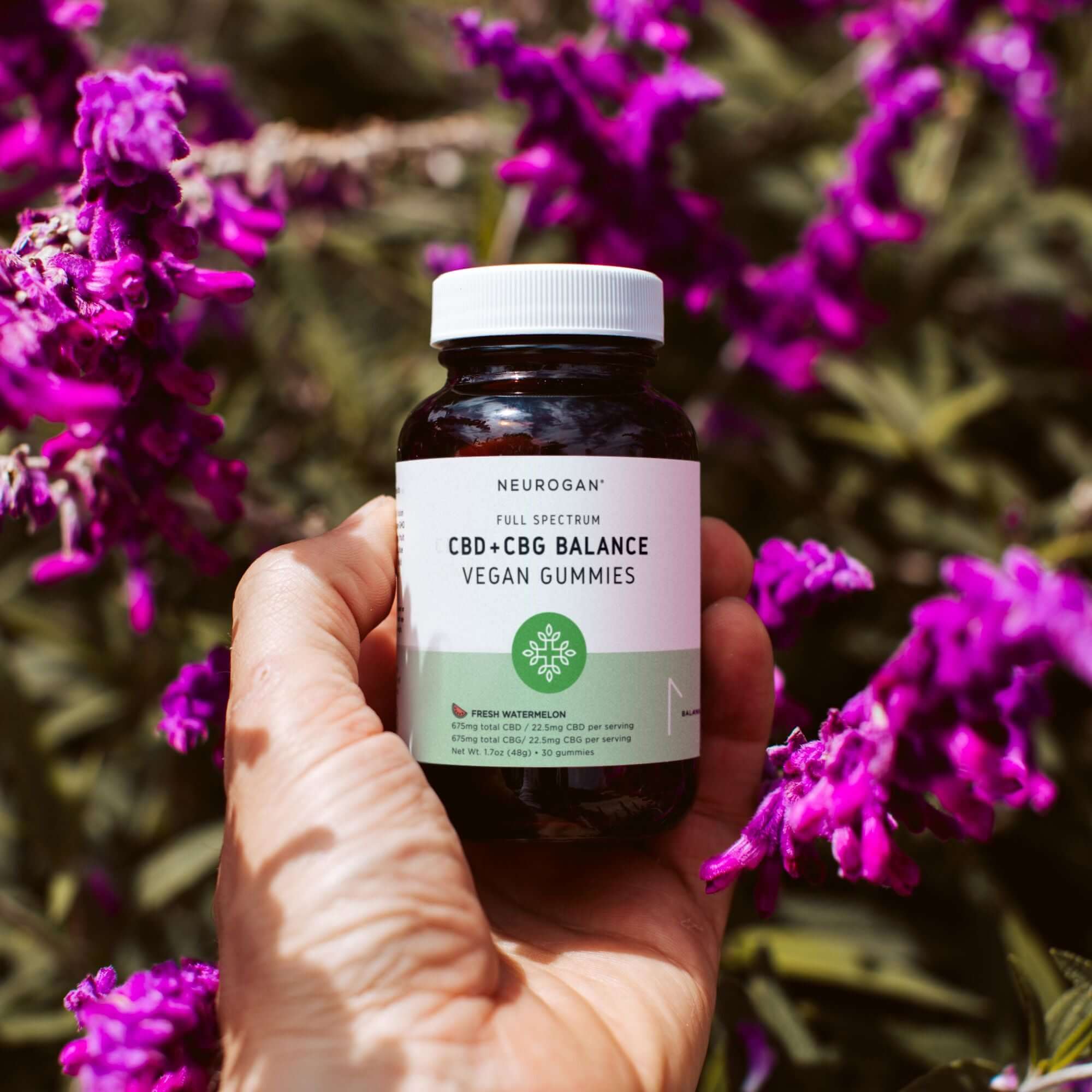 Cbd Balança CBD + CBG Blend Gummies For Sale | Daily CBD CBG Balance