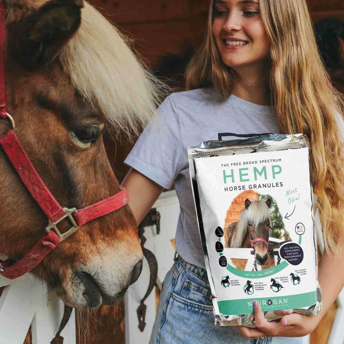 woman holding Broad spectrum CBD Pellets for Horses in hand and feeding it to a horse