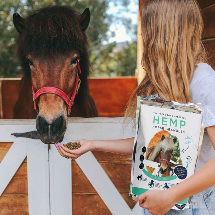 woman holding CBD Pellets for Horses in hand and feeding it to a horse