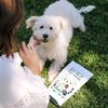 Woman feeding her white dog laying on the grass a CBD Dog treat