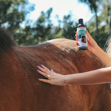 Woman massaging a horse while holding the bottle of Neurogan CBD Oil for horse