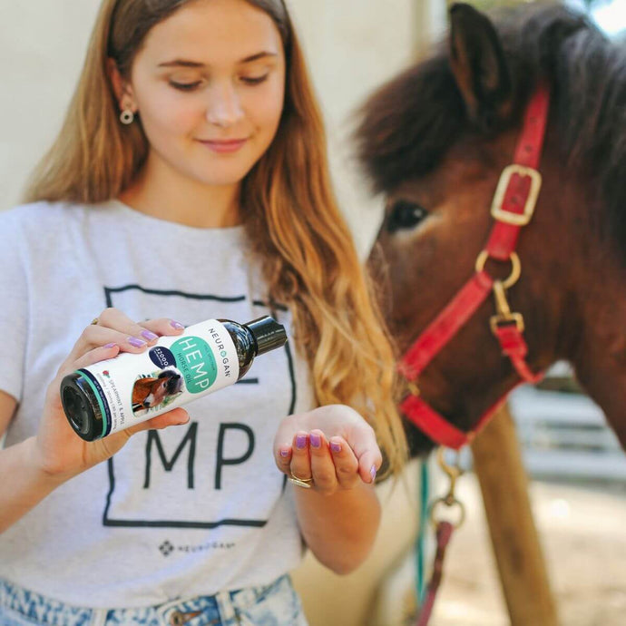 Woman beside a brown horse pouring CBD Oil for horse onto her hand