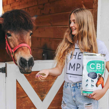 woman holding CBD Pellets for Horses in hand and feeding it to a horse