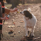 Woman feeding her white and brown dog a serving of CBD Dog oil