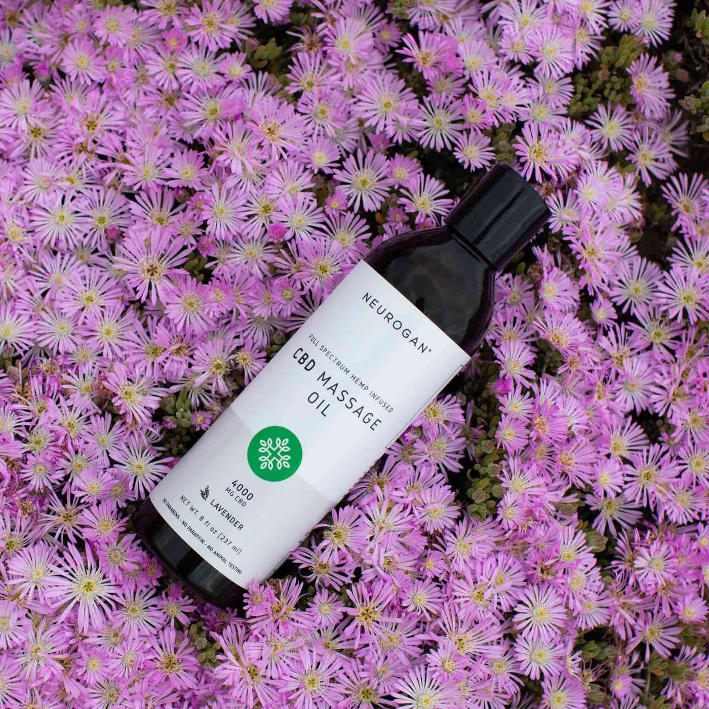 CBD Massage Ingredients