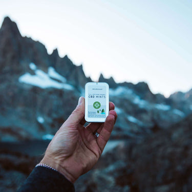 Handheld pack of CBD Mints, with background of majestic snowy mountain ranges 