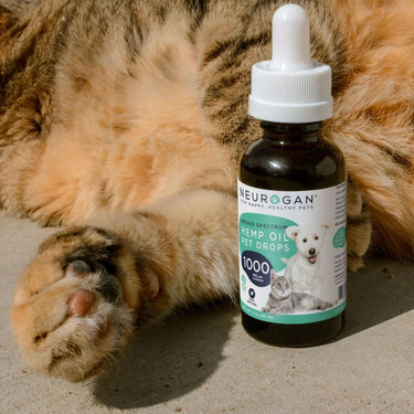 bottle of Neurogan Full Spectrum CBD Pet Oil 1000MG beside an orange cat's paw