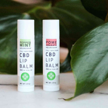 CBD Lip balm peppermint, and pomegranate in front of a succulent plant